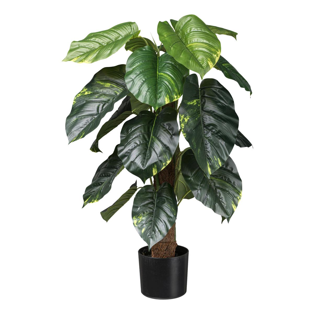UMĚLÁ ROSTLINA PHILODENDRON SCANDES I - černá/zelená, Basics, plast (90cm) - Modern Living