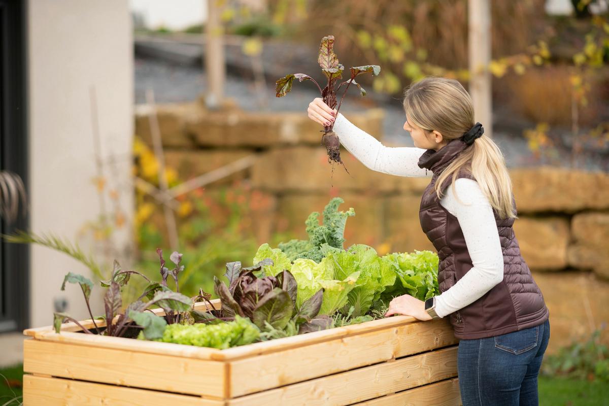 Hochbeet Holz Hochbeet Fichte XL - Fichtefarben, Basics, Holz (70/90/170cm)