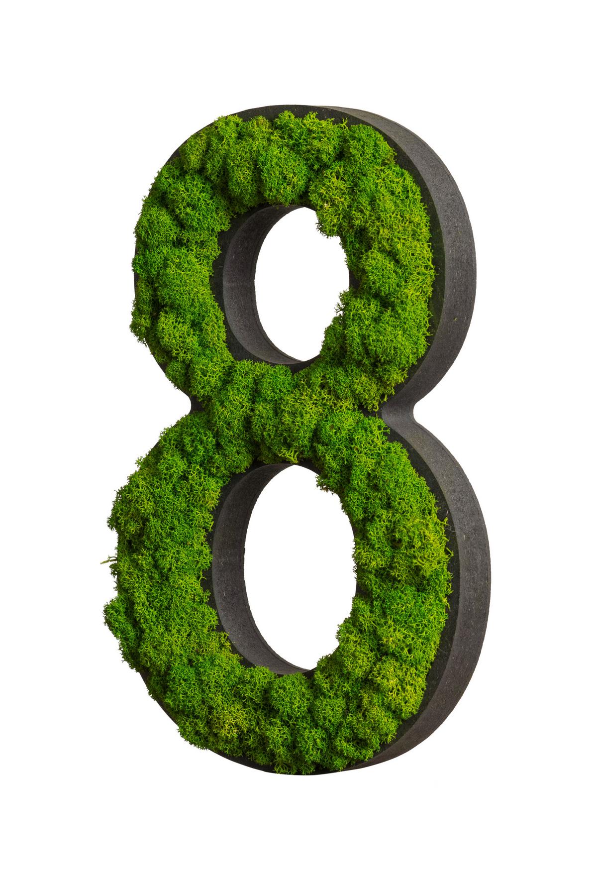 Moosbild Grün B: 25 cm - Schwarz/Grün, Basics, Naturmaterialien/Holz (25/16/2,5cm)