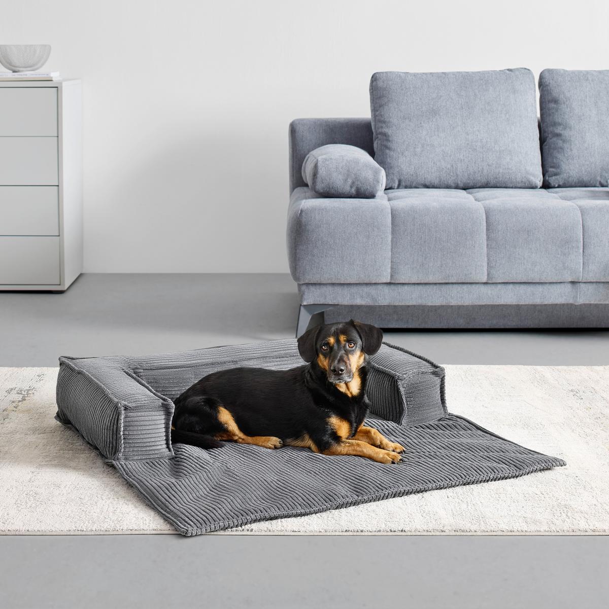 Pohovka pre psa PET FLAT, antracitový menčester - tmavosivá, Konventionell, textil (105/20/105cm) - Mömax