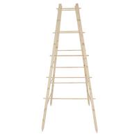 Rankhilfe Ng126 - Hellbraun, Basics, Holz (66/66/144cm)