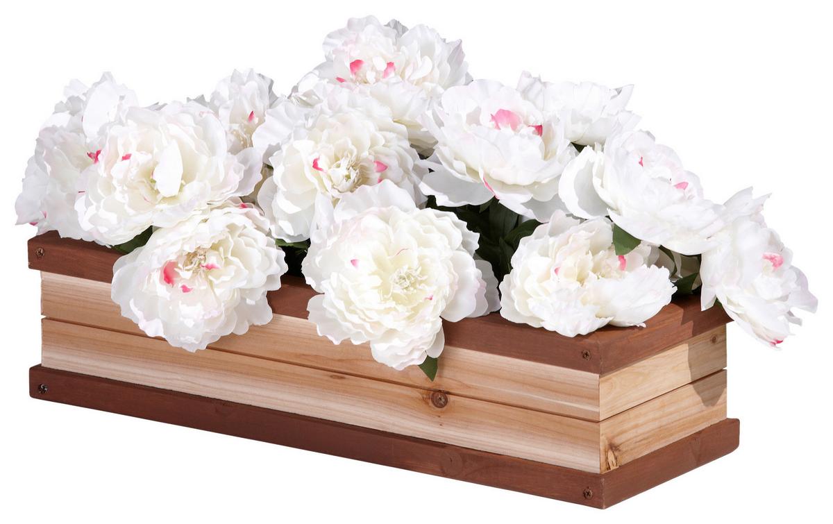 Kinder-gartenset A031.006.00 - Braun, KONVENTIONELL, Holz (54/11,5/19cm) - Ambia Garden