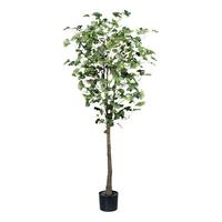 Kunstpflanze Gingkobaum H: 150 Cm - Schwarz/Braun, Basics, Kunststoff (150cm) - P & B