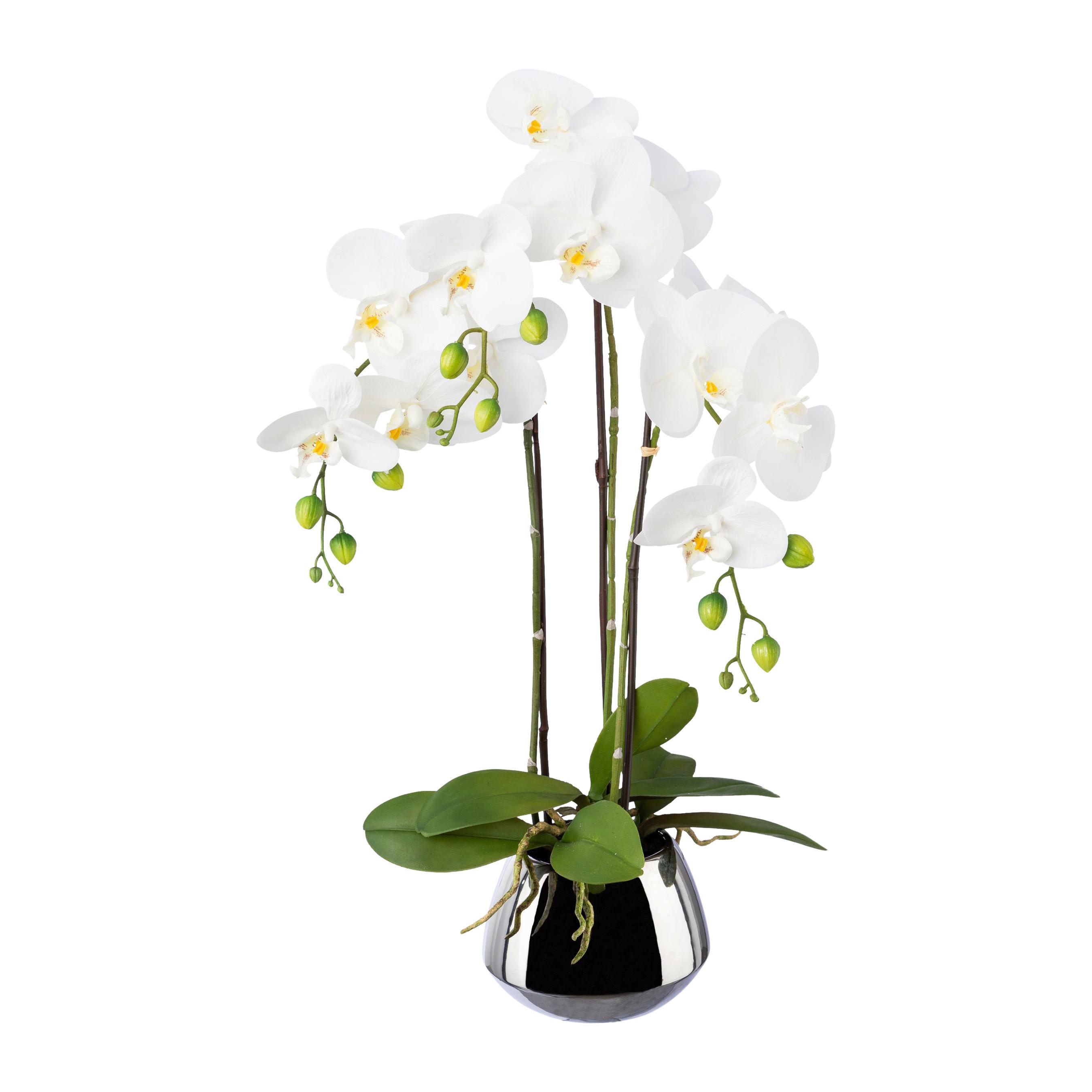 Kunstpflanze Orchideen, Weiß Topf: Silberfarben, H: 55 Cm - Silberfarben/Weiß, Design, Keramik/Kunststoff (55cm) - P & B