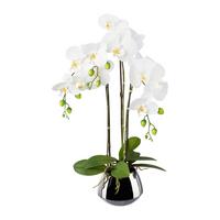 Kunstpflanze Orchideen, Weiß Topf: Silberfarben, H: 55 Cm - Silberfarben/Weiß, Design, Keramik/Kunststoff (55cm) - P & B