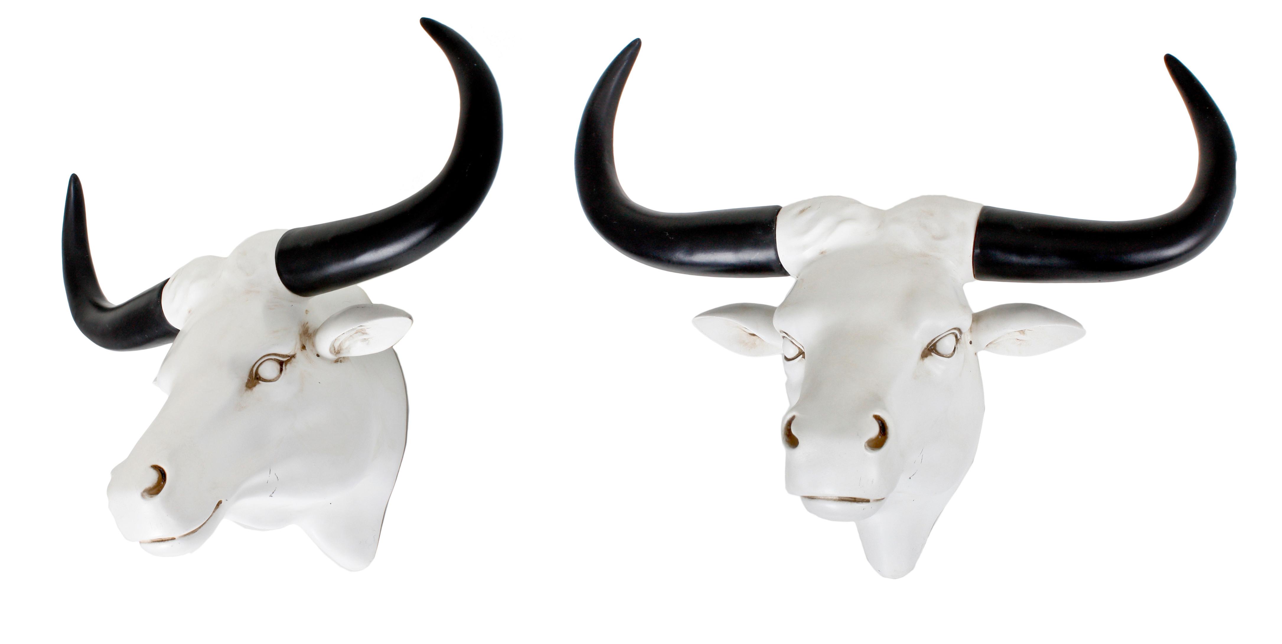 Geweih Schwarz Weiß B: 42,5 cm