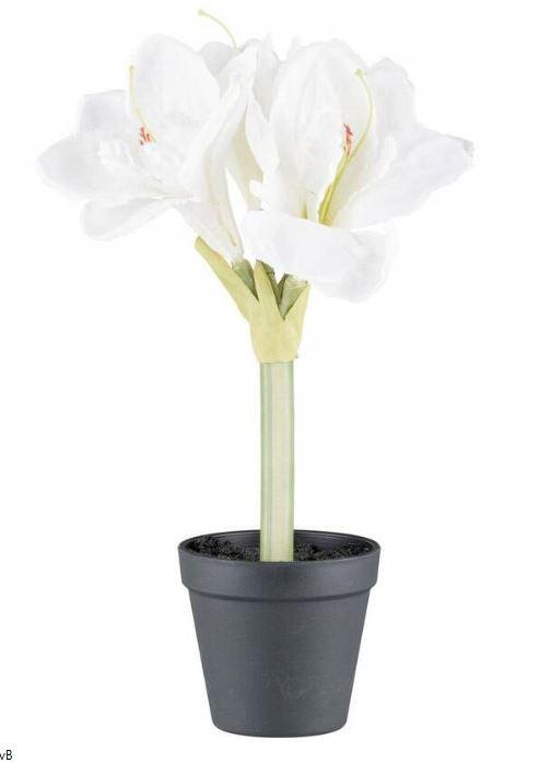 Amaryllis Amaryllis - Braun/Weiß, KONVENTIONELL, Kunststoff (32cm)