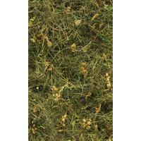 Vliestapete Bergheu - Grün, Basics (150/250cm) - Komar