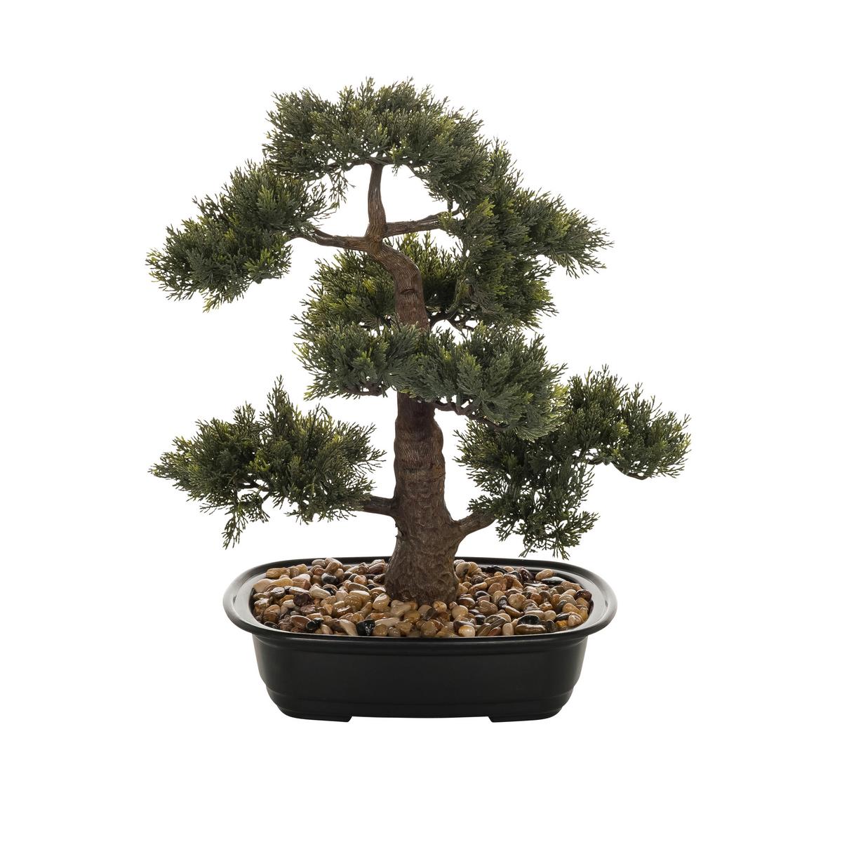 Bonsai Bonsai - Schwarz/Braun, Basics, Kunststoff (38/44/20cm) - MID.YOU