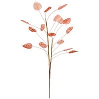 Kunstpflanze Lunaria Rosa L: 72 cm, Habil - Braun/Rosa, LIFESTYLE, Papier/Kunststoff (72cm) - Luca Bessoni