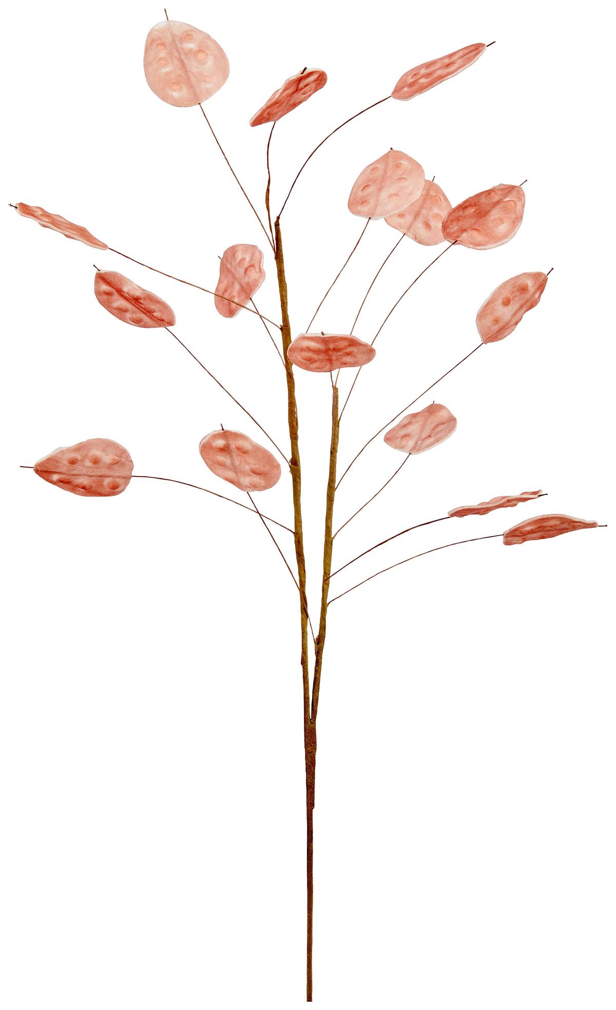 Kunstpflanze Lunaria Rosa L: 72 cm, Habil - Braun/Rosa, LIFESTYLE, Papier/Kunststoff (72cm) - Luca Bessoni