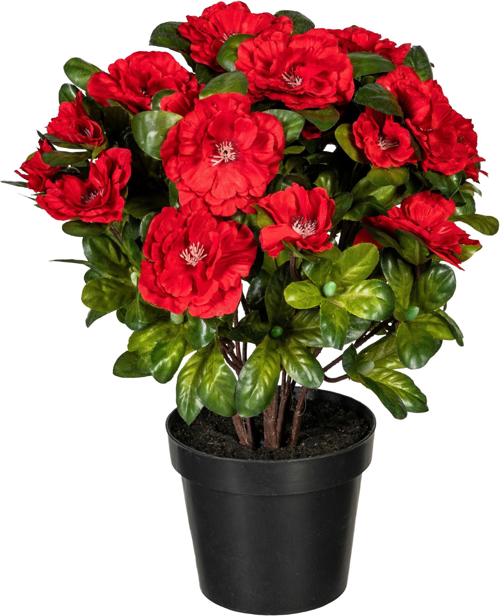 Kunstpflanze Blühpflanzen Rot/Grün, 32 cm - Rot/Grün, Design, Kunststoff (32cm) - P & B