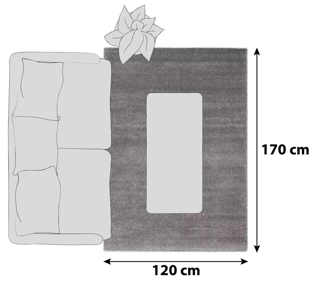 Hochflorteppich Bellevue Grau 120x170 cm - Grau, Basics, Textil (120/170cm) - Novel