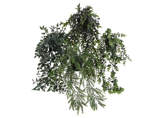 Kunstpflanze Tito - Schwarz/Grün, MODERN, Kunststoff (50cm) - Luca Bessoni Kunstpflanze Tito - Schwarz/Grün, MODERN, Kunststoff (50cm) - Luca Bessoni