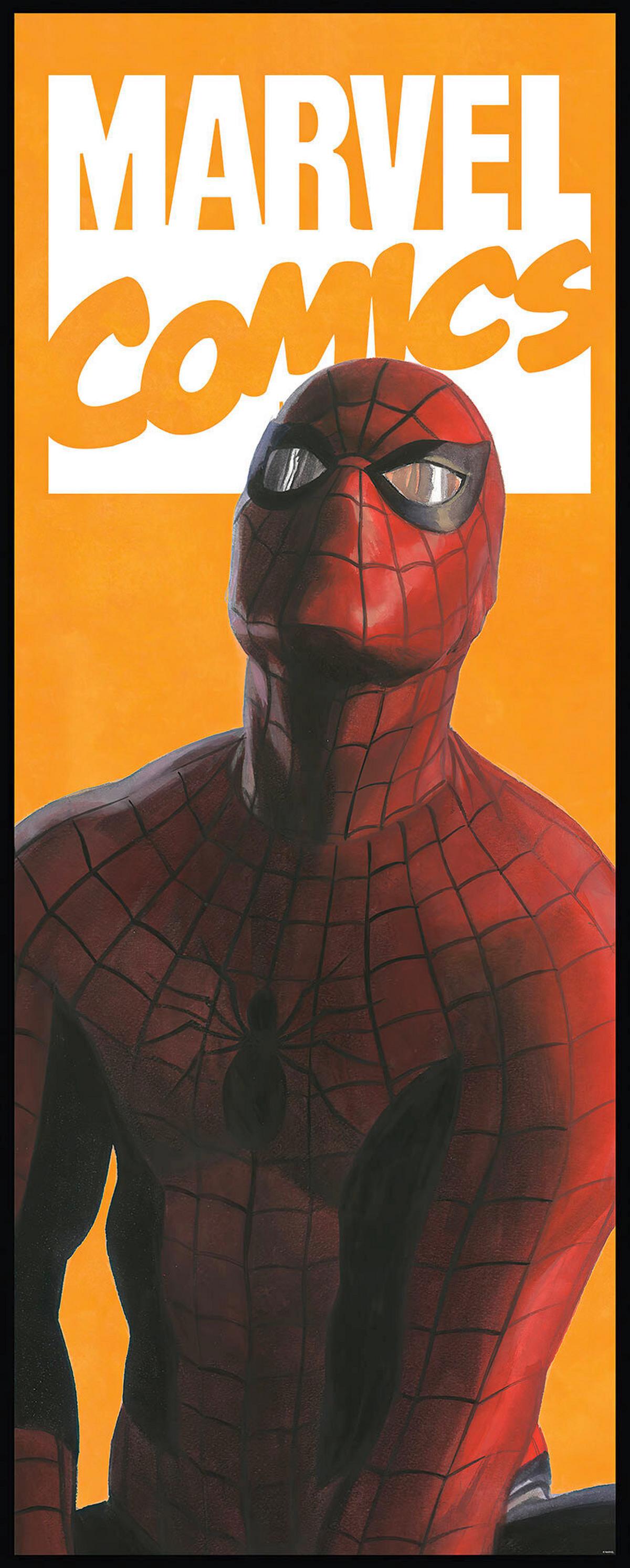 Fototapete Spider-Man Comic - Gelb/Rot, Trend, Textil (100/250cm)