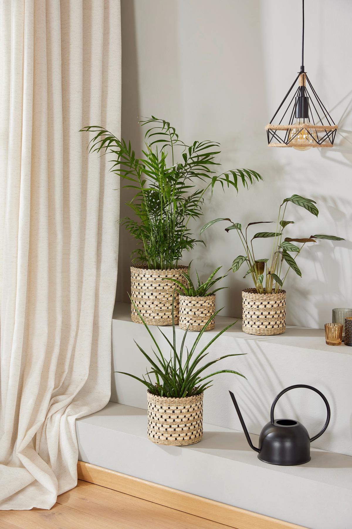 Übertopf Ryal - Naturfarben, KONVENTIONELL, Naturmaterialien/Kunststoff (21/18cm) - Ondega