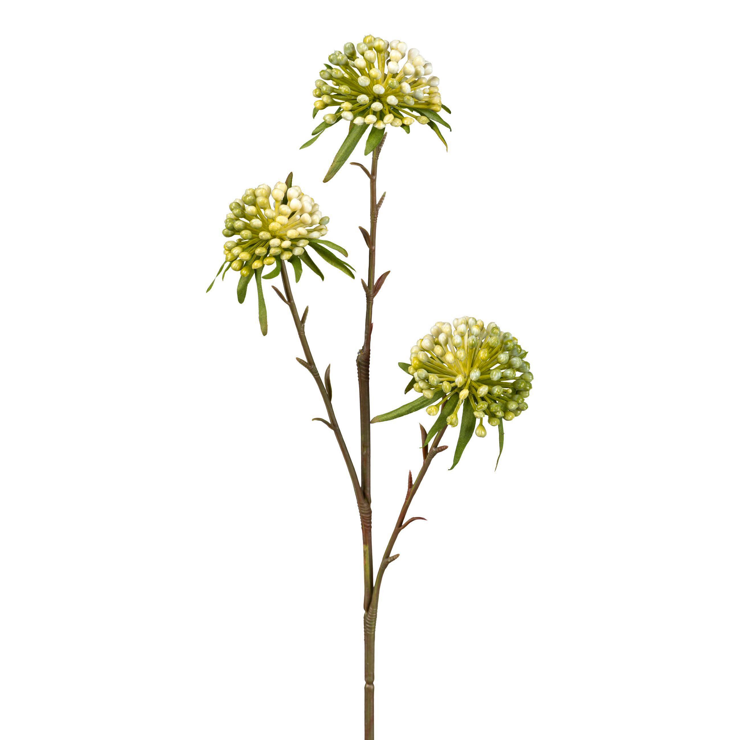 Kunstpflanze Allium Weiß L 62 Cm - Weiß/Grün, KONVENTIONELL, Kunststoff (62cm)
