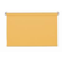 Rollo Win Goldfarben B: 60 cm - Goldfarben, Basics, Textil (60/160cm)