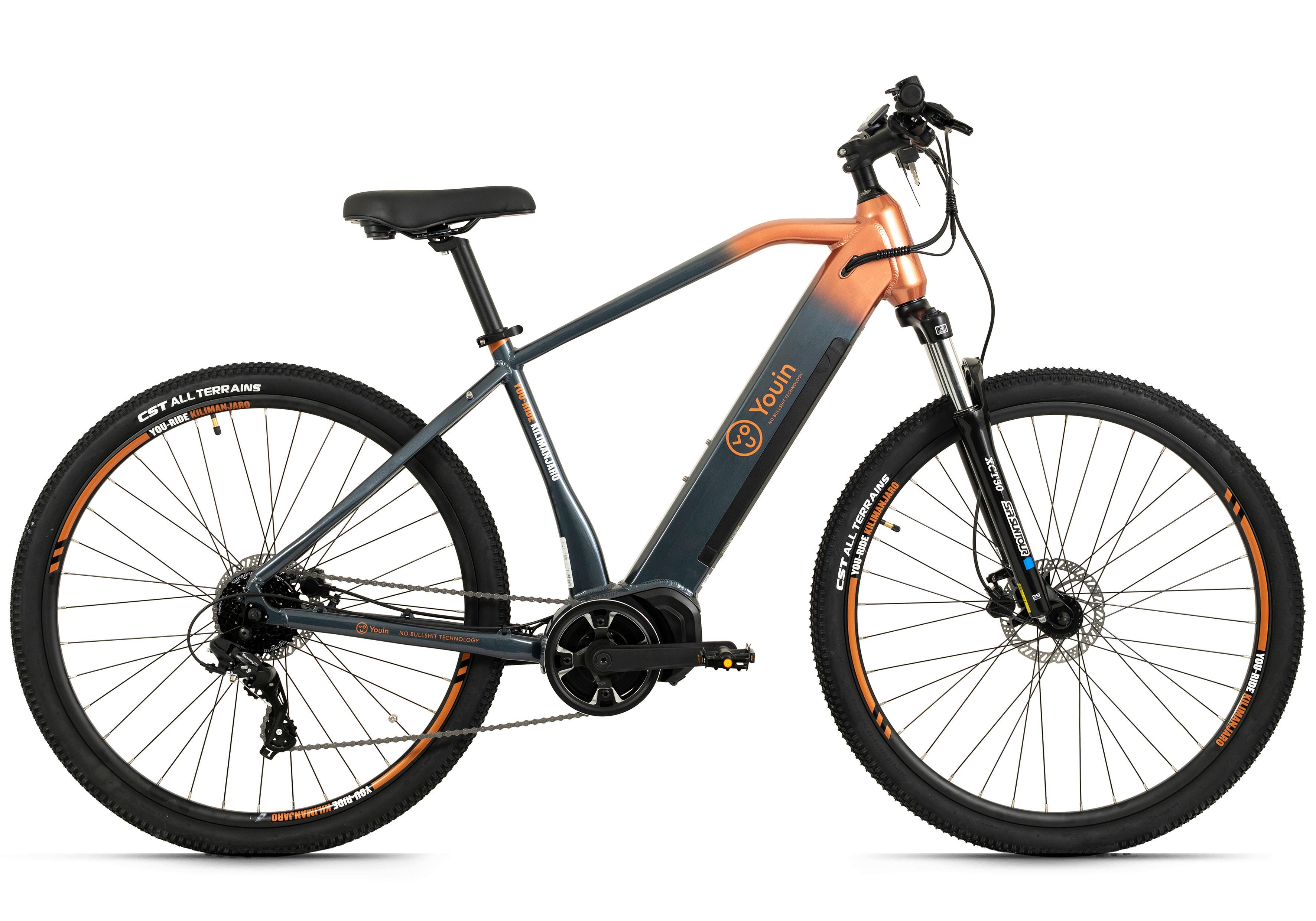 Elektrofahrrad Totem E-Mtb Grau, Orange, 29 Zoll - Grau, Basics, Metall (21/116/188cm)