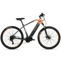Elektrofahrrad Totem E-Mtb Grau, Orange, 29 Zoll - Grau, Basics, Metall (21/116/188cm)