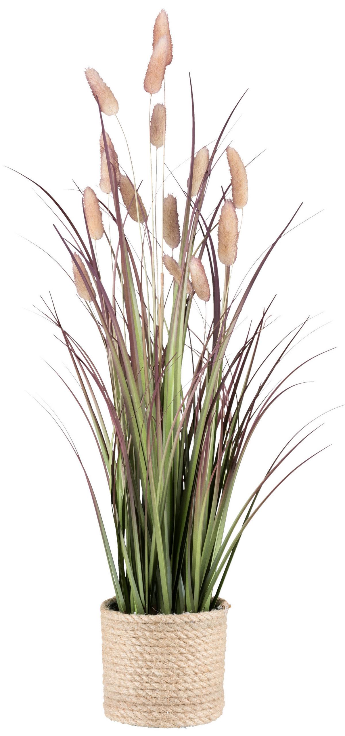 UMELÁ RASTLINA GRASBUSCH I - prírodná farba/zelená, Konventionell, plast/prírodné materiály (60cm) - Modern Living