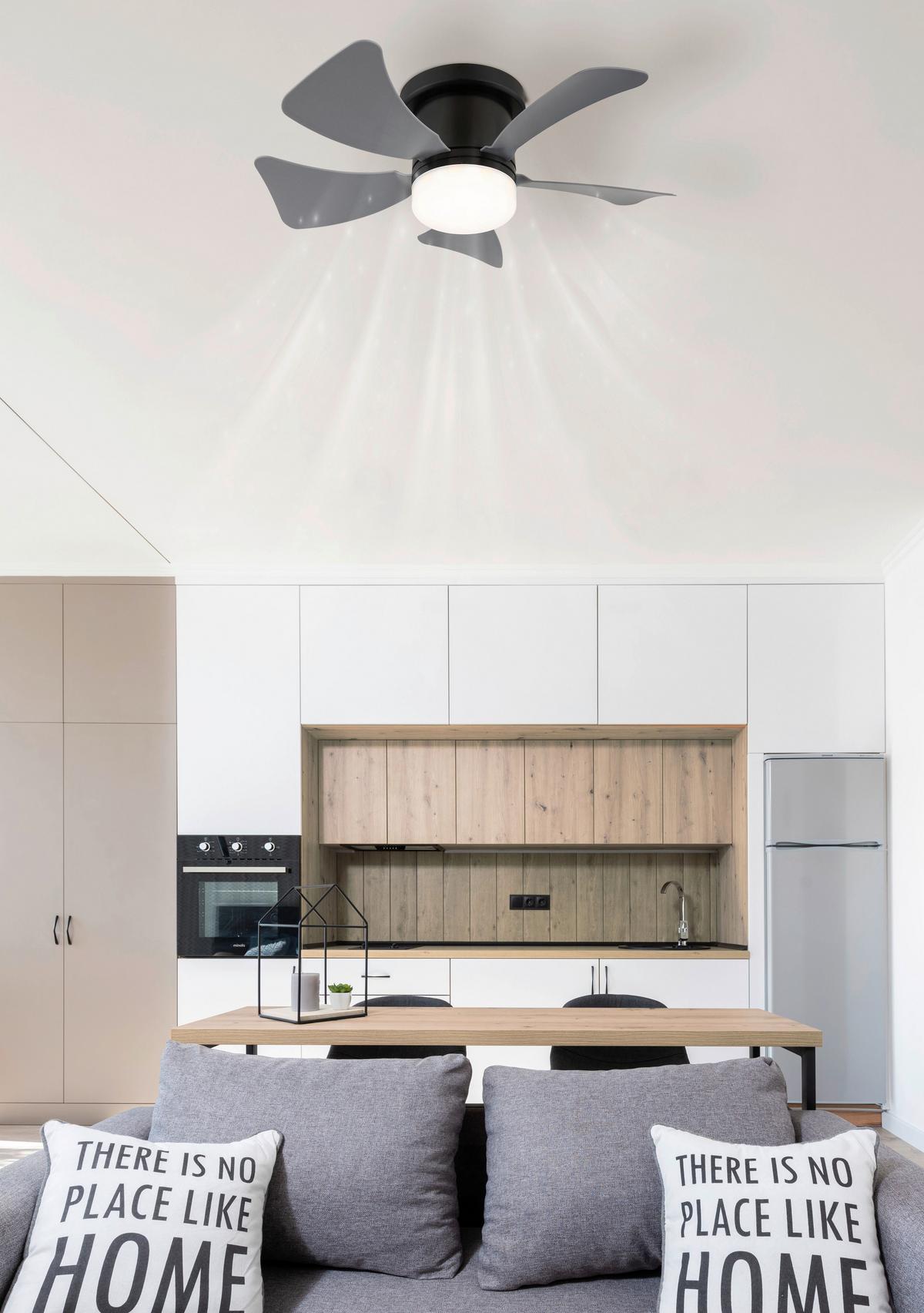 Deckenventilator Pauli - Opal/Schwarz, Basics, Kunststoff/Metall (40,6/13cm) - James Wood