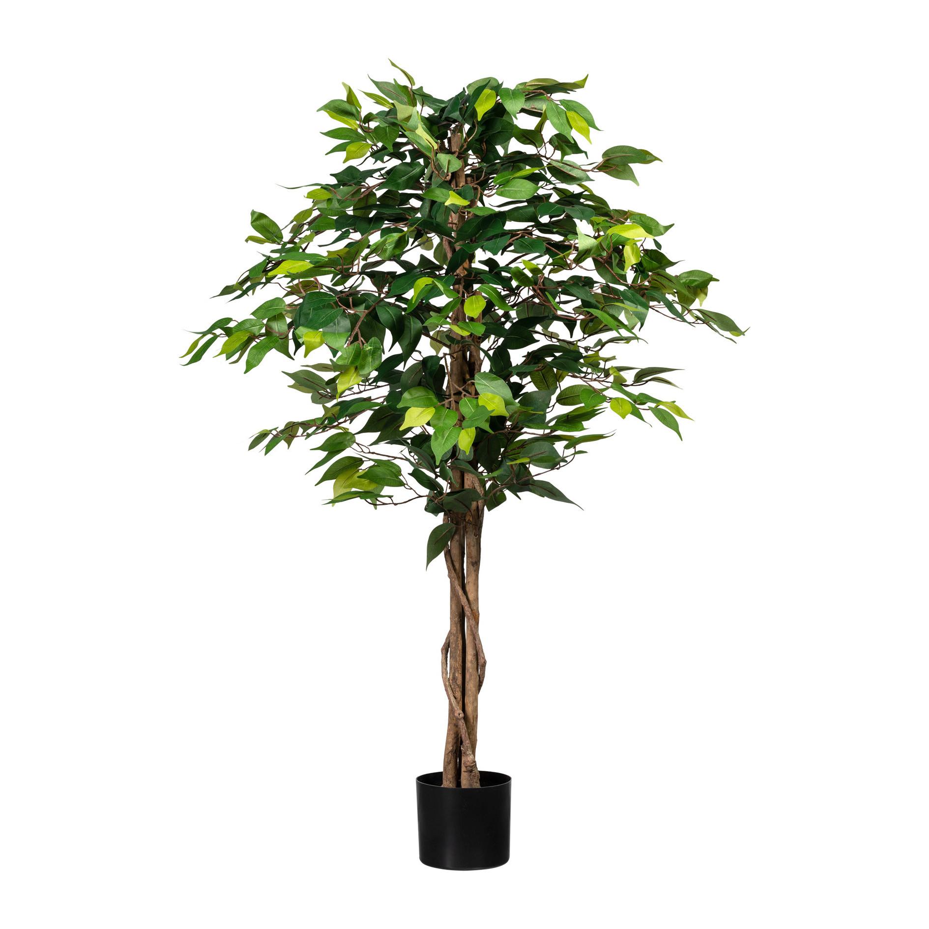 Kunstplanze Ficus Benjamina Grünpflanzen - Schwarz/Braun, Design, Naturmaterialien/Kunststoff (120cm) - P & B