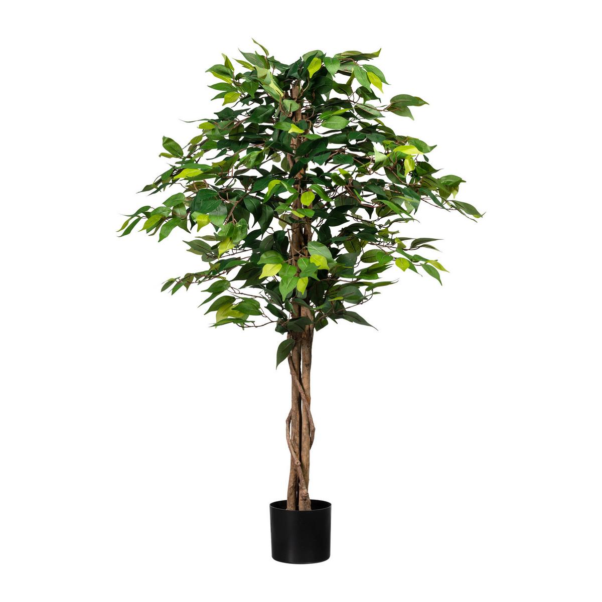 Kunstplanze Ficus Benjamina Grünpflanzen - Schwarz/Braun, Design, Naturmaterialien/Kunststoff (120cm) - P & B
