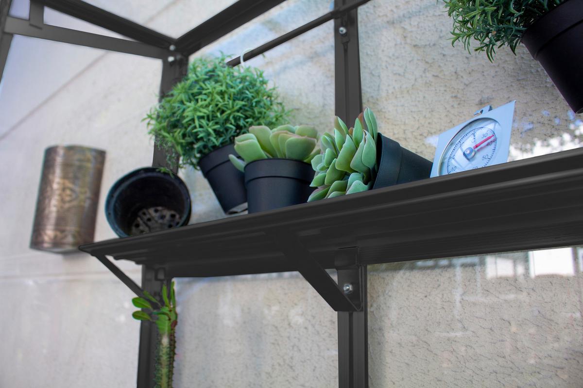 Balkon-gewächshaus Polis 350 Schwarz Metall/glas H: 165,5cm - Schwarz, Basics, Glas/Metall (81,2/165,5/42,8cm)