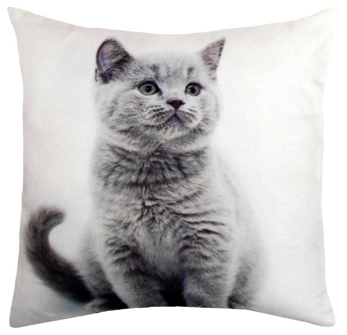 Zierkissen Timi 25x25 Cm Polyester Multicolor - Schwarz/Braun, KONVENTIONELL, Textil (25/25cm) - Ondega