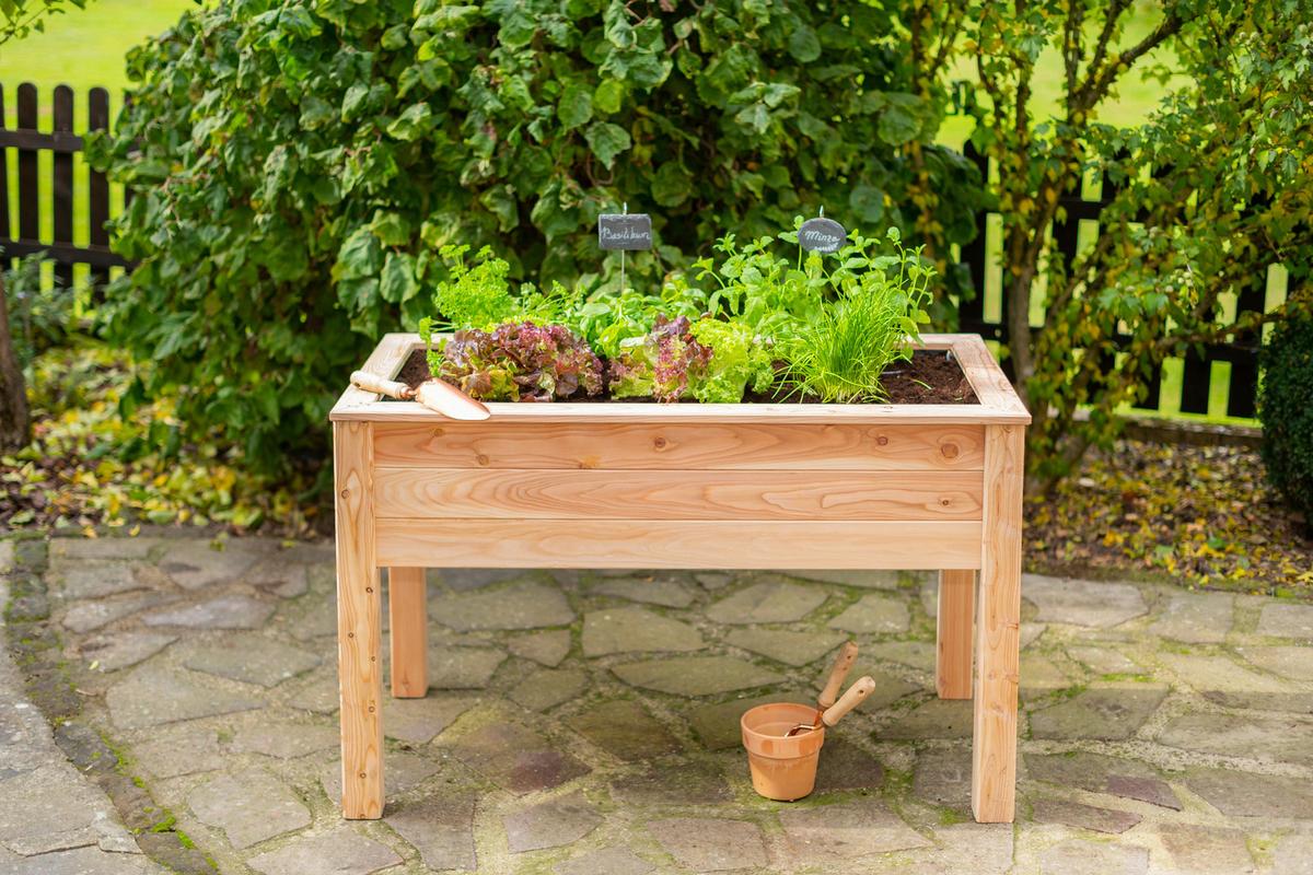 Hochbeet Echtholz Lärche 120x75x65 cm Lärchefarben - Lärchefarben, Basics, Holz (120/75/65cm)