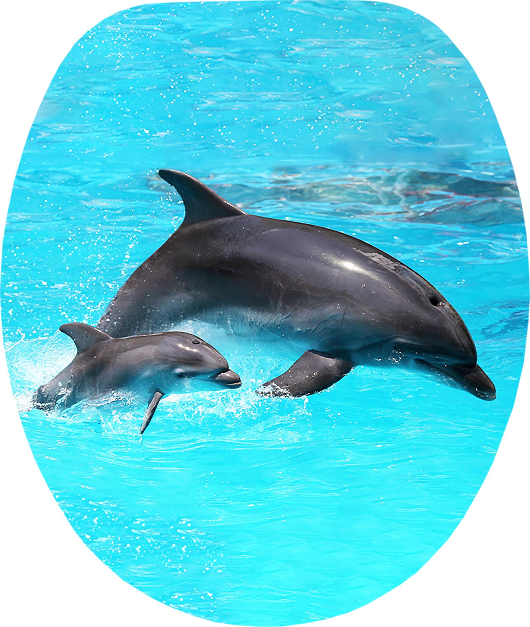 Wc-ülőke Flipper - kék, Modern, faalapú anyag (38/5/45cm)