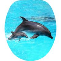 Wc-ülőke Flipper - kék, Modern, faalapú anyag (38/5/45cm)