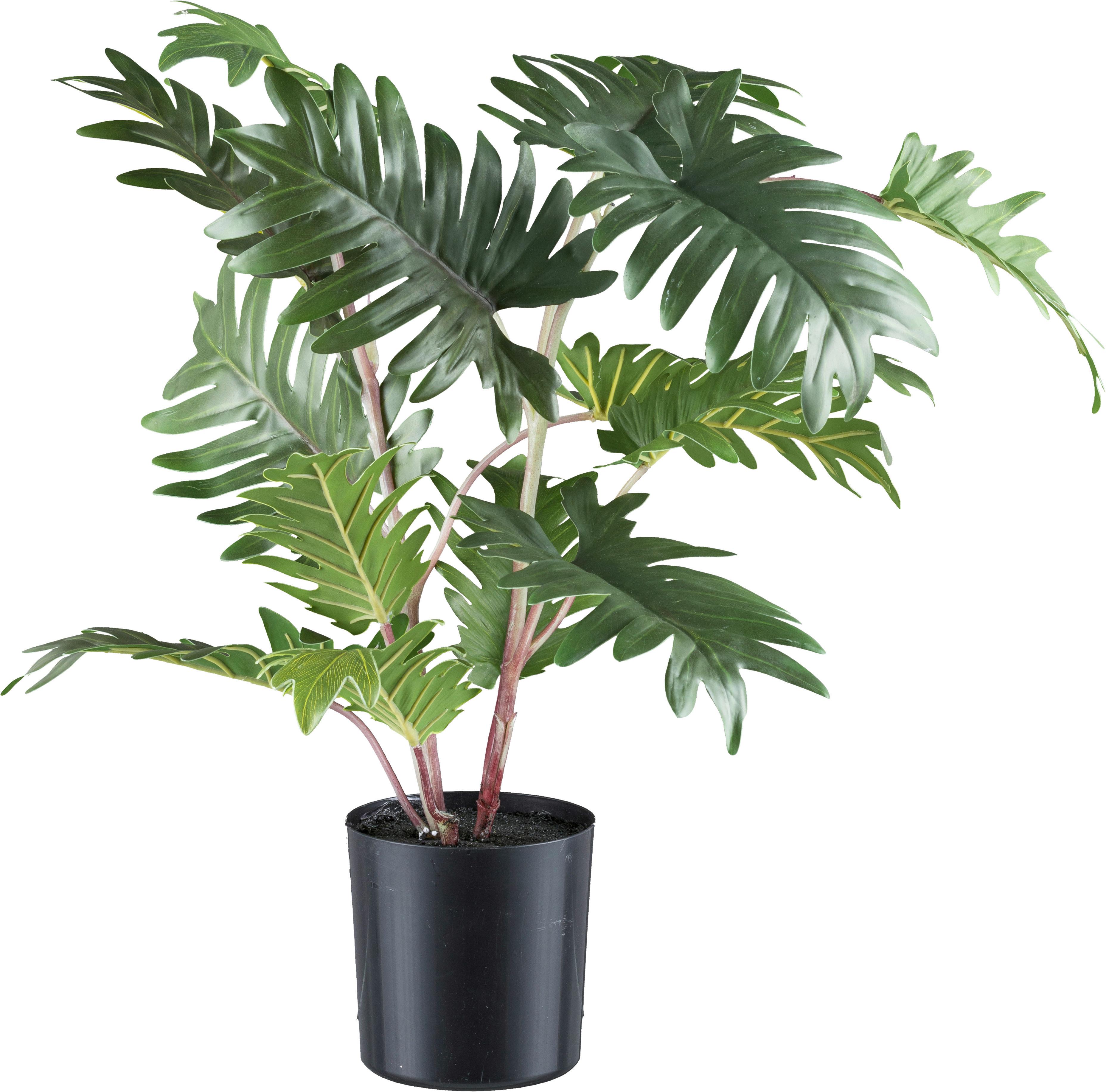 Kunstpflanze H: 50 cm - Schwarz/Braun, Design, Kunststoff (50cm) - P & B