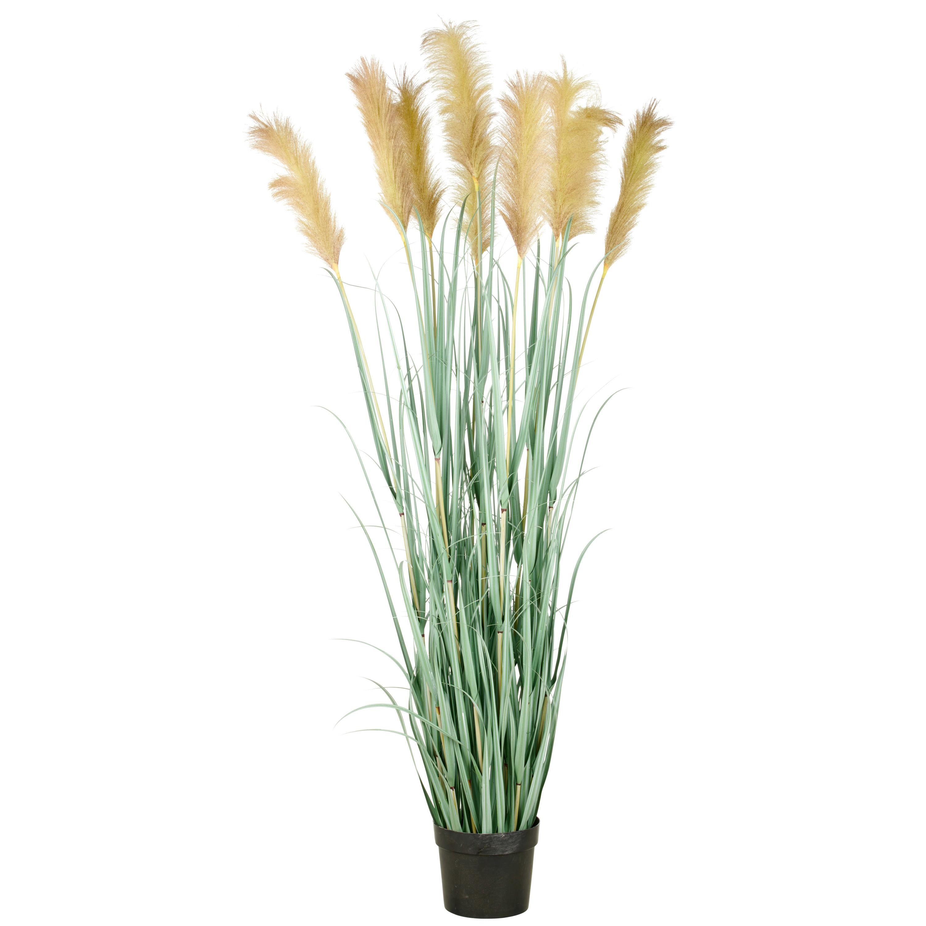 Kunstpflanze Creme Grau Grün B: 25 cm - Creme/Grau, Basics, Kunststoff (25/175/25cm)