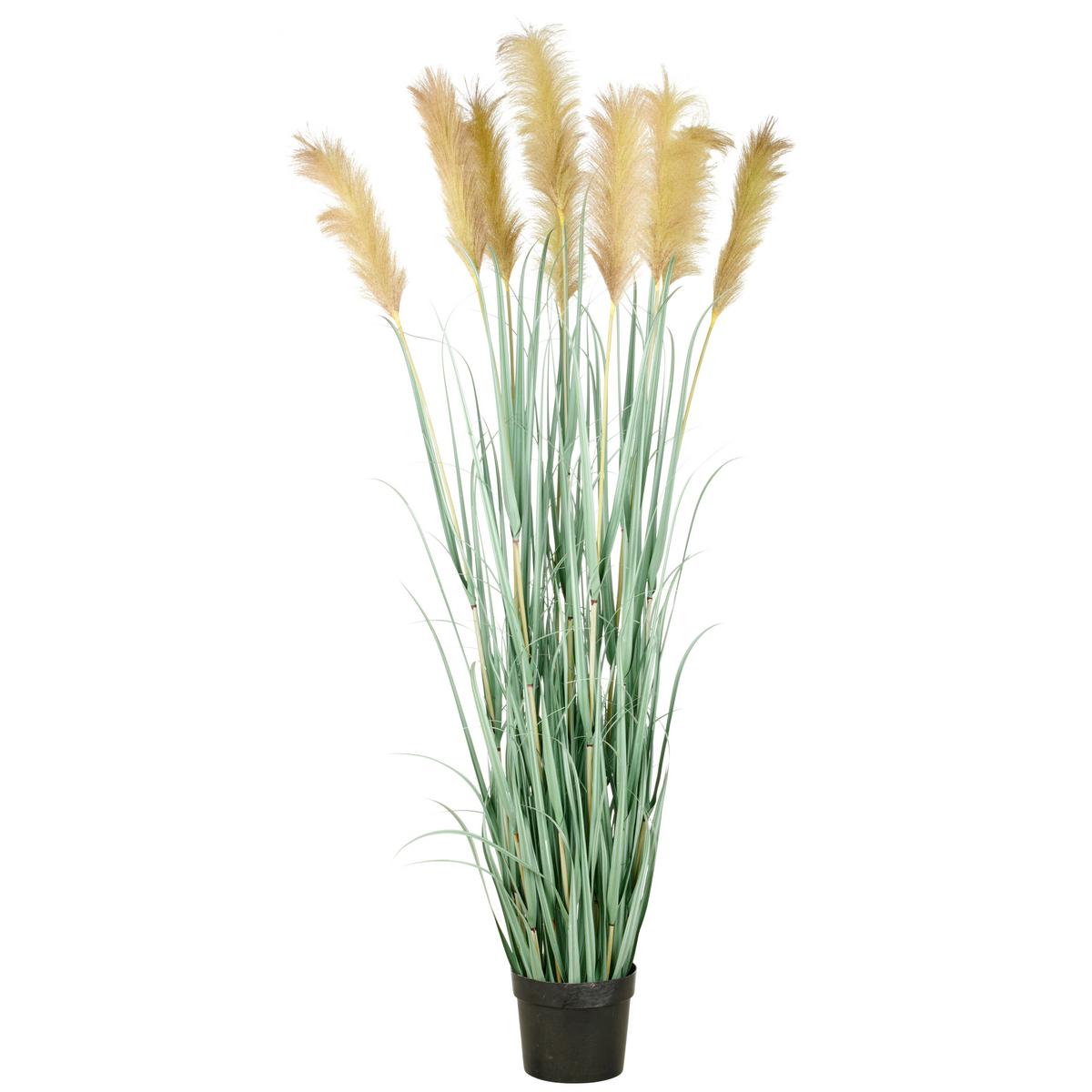 Kunstpflanze Creme Grau Grün B: 25 cm - Creme/Grau, Basics, Kunststoff (25/175/25cm)