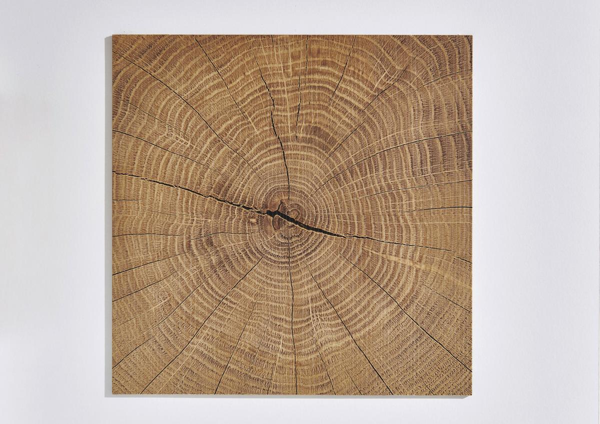 Gotland Eichefarben/weiß B: 91 Cm - Eichefarben/Weiß, MODERN, Holzwerkstoff (91/199/58cm) - MID.YOU