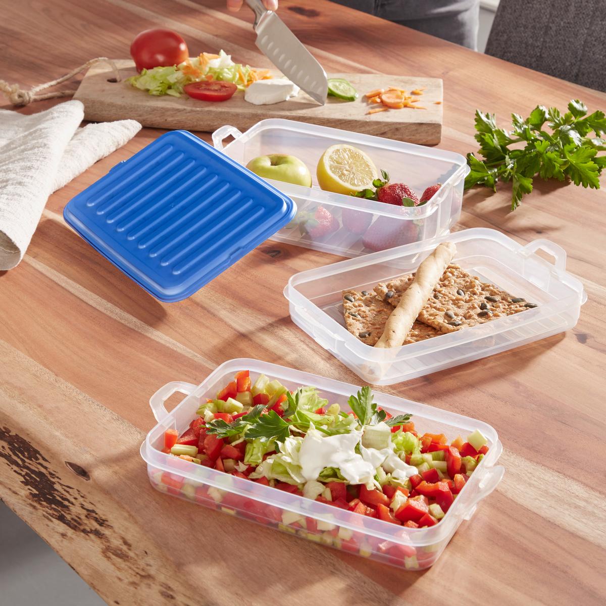 Ételtároló Készlet Alea - áttetsző/kék, Modern, műanyag (15,5/23/12,5cm) - Luca Bessoni