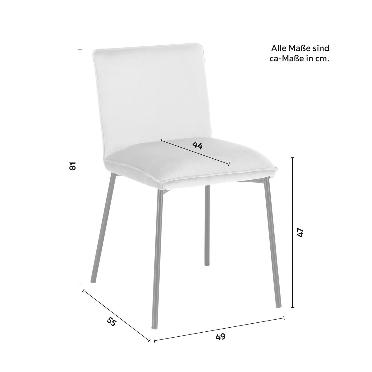 Židle DARLA béžová - černá/béžová, Moderní, kov/dřevo (49/81/55cm) - Bessagi Home