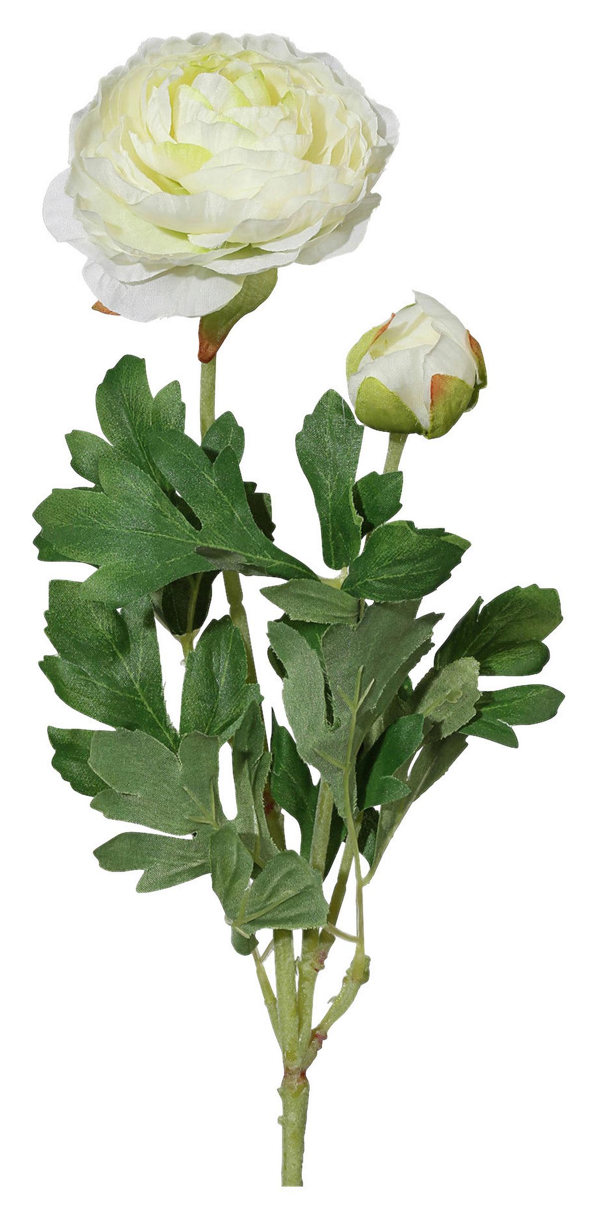 Kunstpflanze Ranunkel Creme L: 40 cm, Elisa - Creme/Grün, Basics, Kunststoff/Textil (40cm)