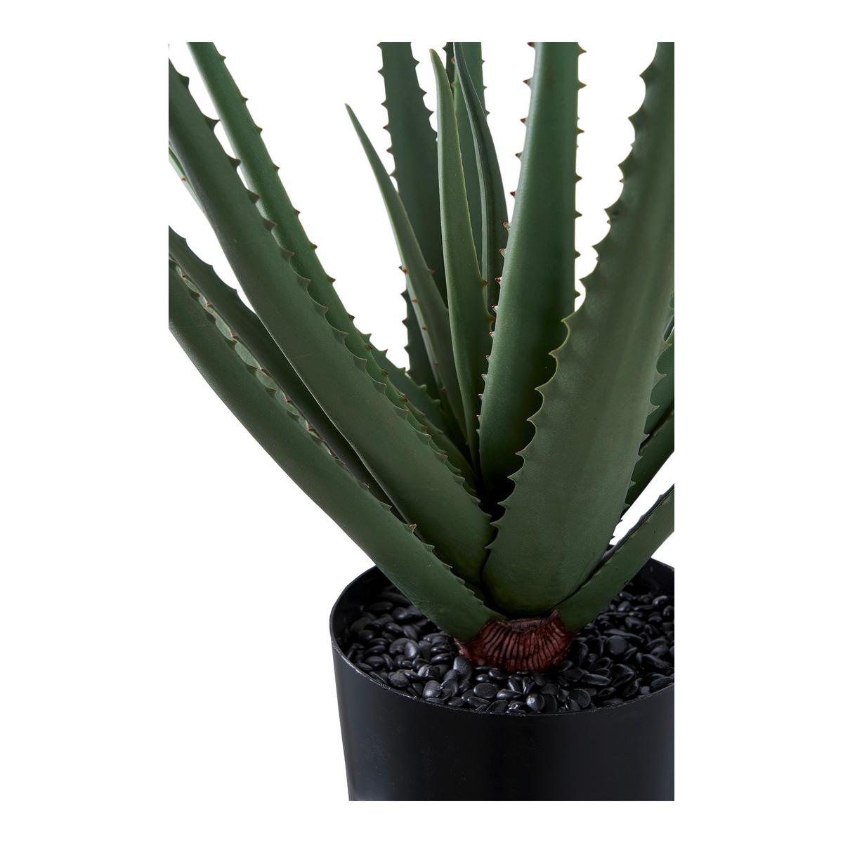 Kunstpflanze Aloe Vera Grün B: 30,5 cm - Grün, Design (30.5/51/30.5cm)