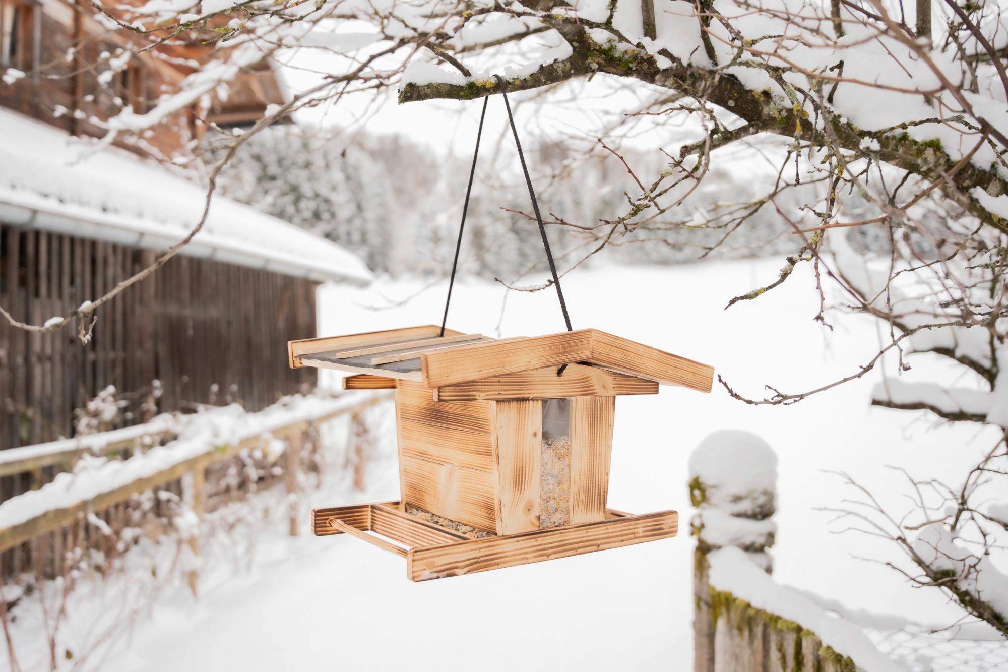 Vogelfutterhaus Canteen Xl Kiefer - Naturfarben, Basics, Holz (38/23,5/29cm) - Windhager