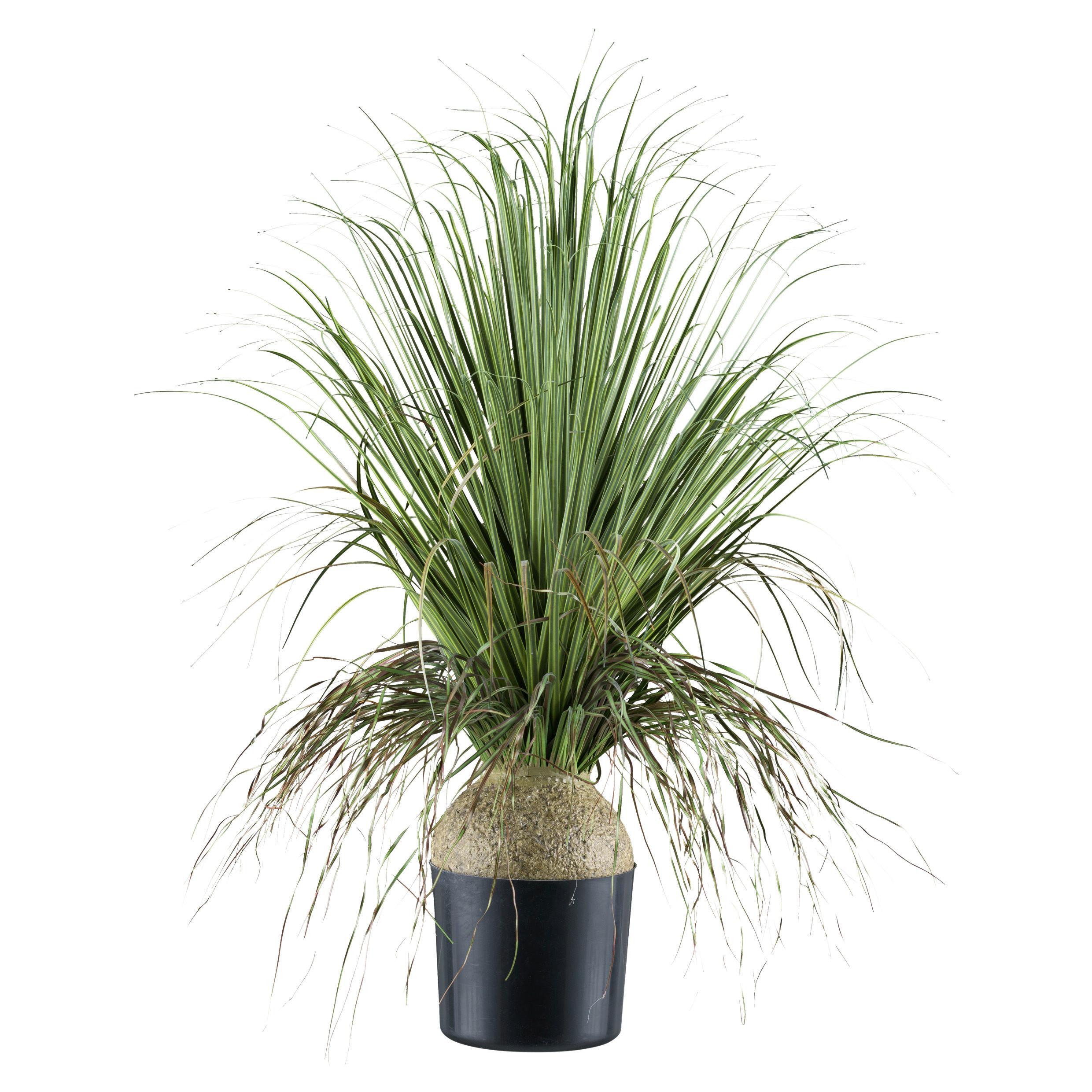 Kunstpflanze Grünpflanzen Grün/Grau/Schwarz, 68 cm - Schwarz/Grau, Design, Kunststoff (68cm) - P & B