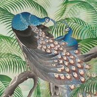Fototapete Pfau - Multicolor, Basics, Papier/Kunststoff (200/280cm)