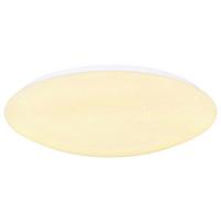 LED stropné svietidlo Dalia max. 11 Watt - biela, Konventionell, kov/plast (26/6cm) - Based