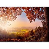 Fototapete Multicolor B: 100 Cm - Multicolor, Basics, Textil (100/70cm) - artgeist