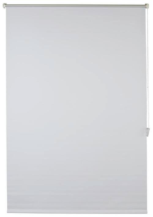 Verdunkelungsrollo Sarah Halbtransparent 60x150 cm - Weiß, MODERN, Textil (56/150cm) - Luca Bessoni