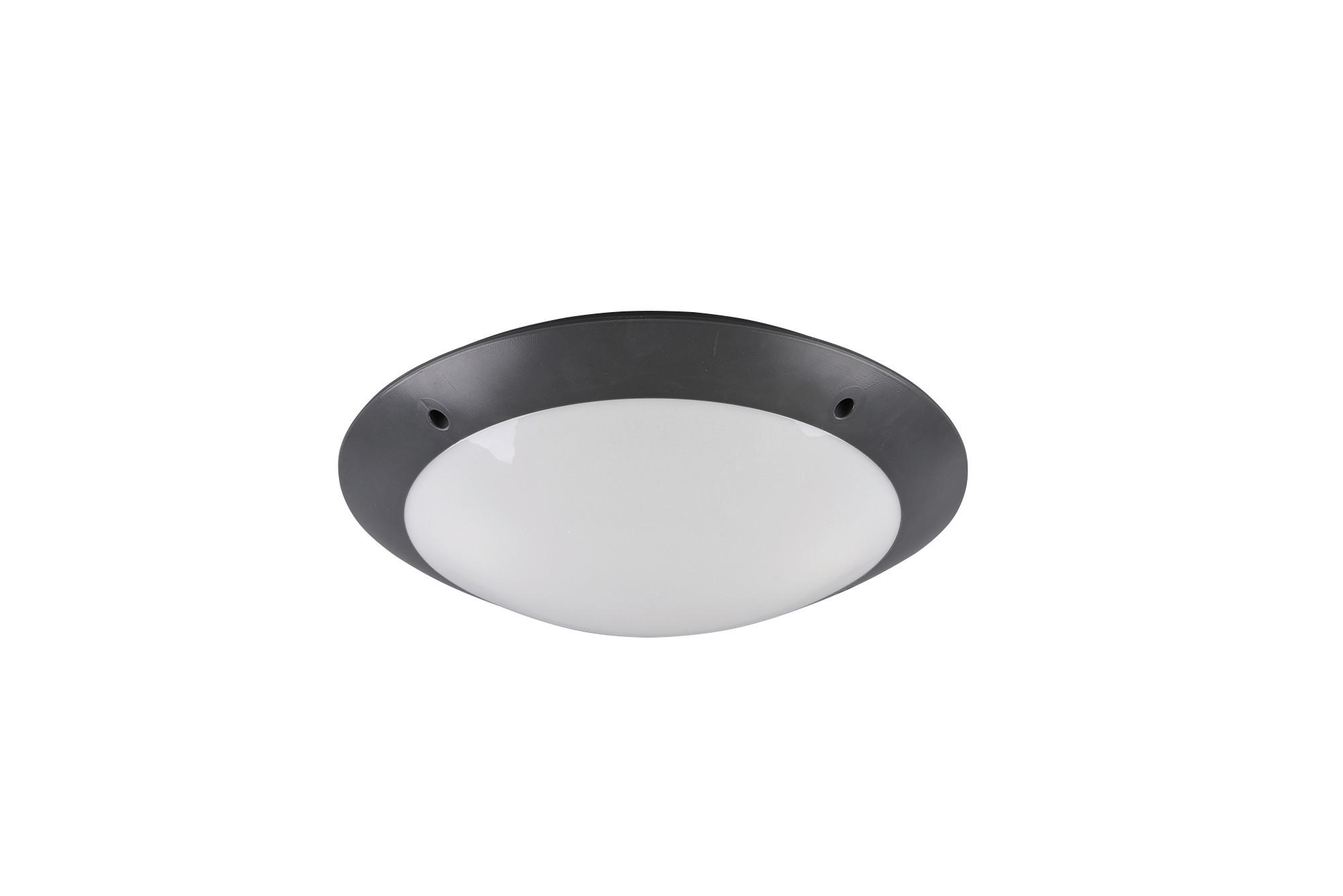 Außendeckenleuchte R60502042 Camaro - Anthrazit/Weiß, Basics, Kunststoff (33/9cm)