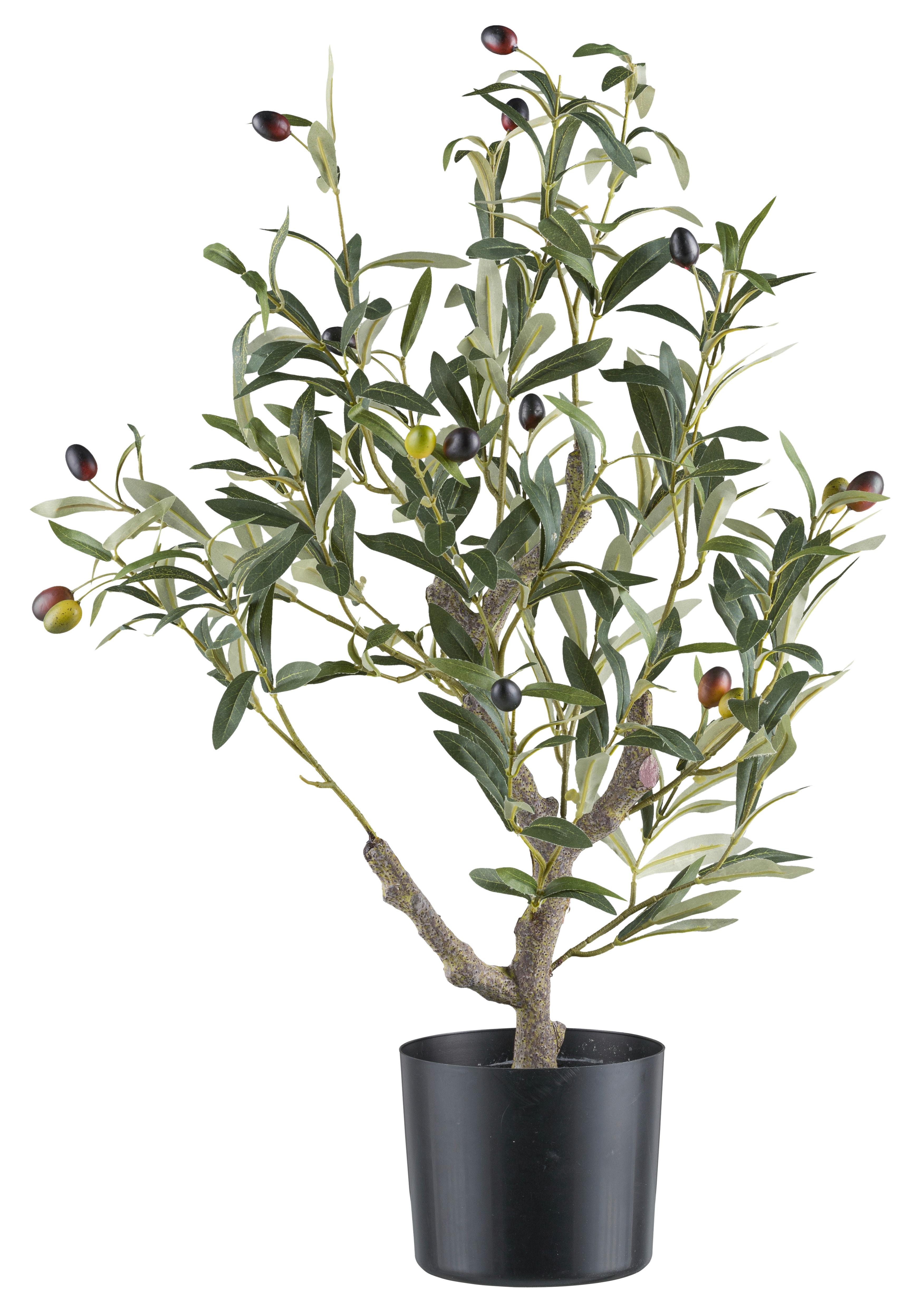Dekorační stromek Oliva, výška 70cm - zelená/přírodní barvy, Konvenční, plast (13/70cm) - Mömax
