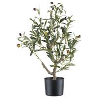 Dekorační stromek Oliva, výška 70cm - zelená/přírodní barvy, Konvenční, plast (13/70cm) - Mömax